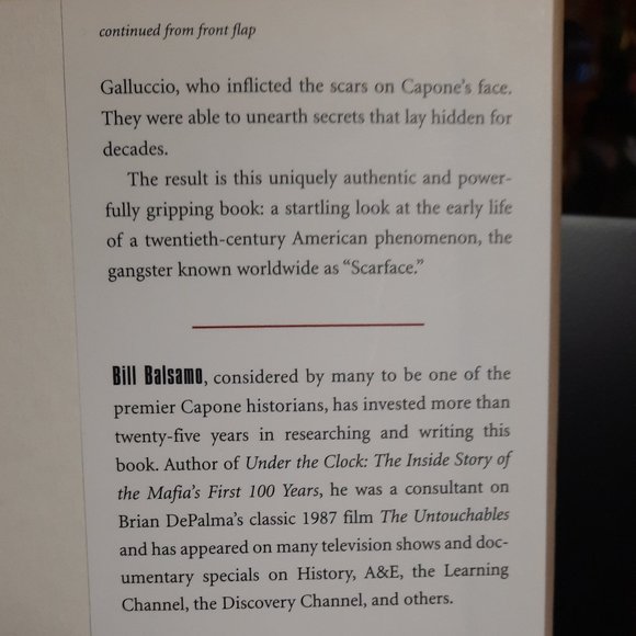 Hardcover Book, "Young Al Capone" by William Balsamo & John Balsamo - Picture 4 of 9